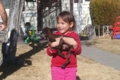 37185ff9-a622-44a7-a951-4eb78656c69b1