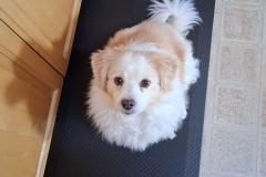 D3A93630-4D66-4643-A07E-556EE924C378